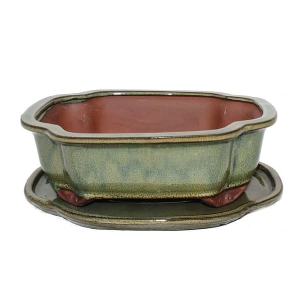 bonsai skål med fat storlek 4 - haitang i4 - olivbrun - l 26cm - b 20,5cm - h 8,5cm