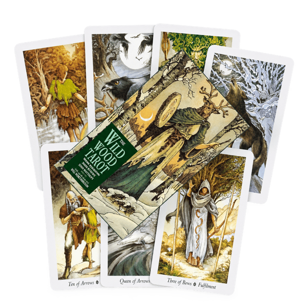 The Wild Wood Tarot Cards A 78 Oracle English Visions Divination Edition Deck Board Playing Game Cards