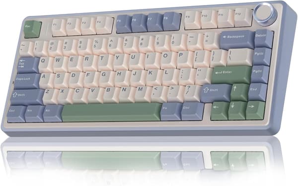 AULA F75 75% trådlöst mekaniskt speltangentbord RGB Hot Swap Bluetooth 5.0 2.4GHz USB-C Reaper Switch