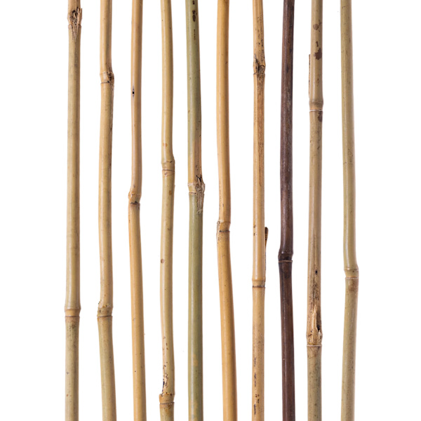 Bambukäppar för växter - Stödpinnar - 60 cm - Ø 10–12 mm - 25-pack