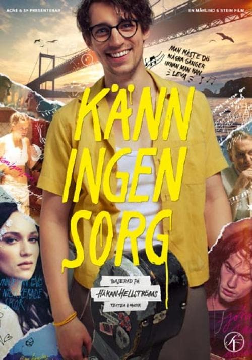 Känn ingen sorg (2013) (DVD)
