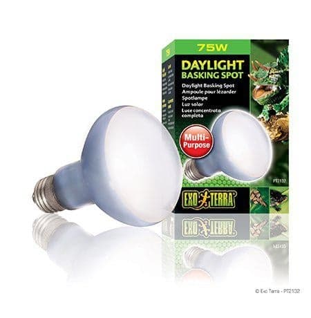 Exoterra Daylight Basking Spot 75W R20 E27 Grön - (220.2720)
