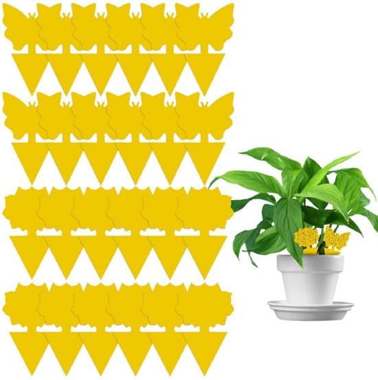 24-pack - Flugpapper - Fruktflugfällor - Växtflugfällor - Inomhus & Utomhus Allmänna Flugfällor - Gul
