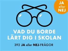 Vad du borde lärt dig i skolan : 392 Ja eller Nej-frågor
