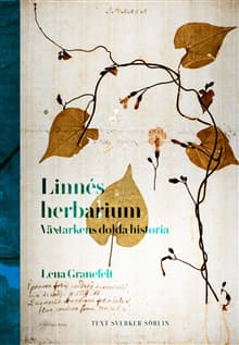 Linnés herbarium : växtarkens dolda historia