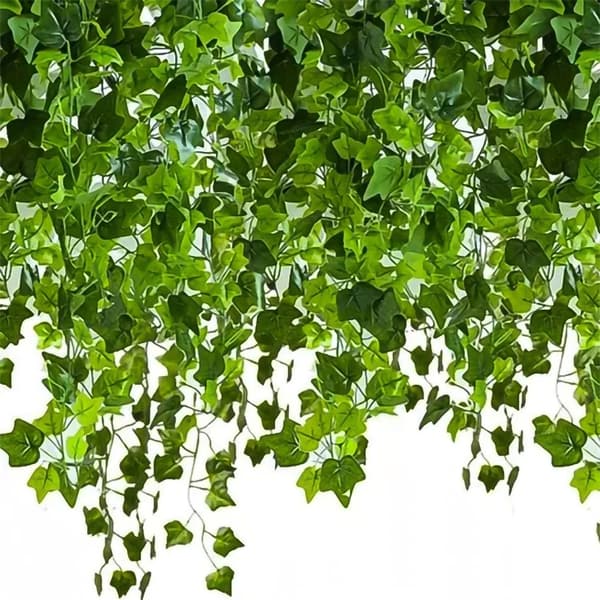 Varjomuratti Köynnös / Muratti - Keinotekoinen - 12 x (210 cm)