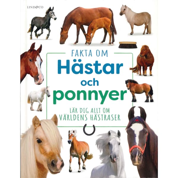 Fakta om hästar och ponnyer : Lär dig allt om världens hästraser (inbunden)