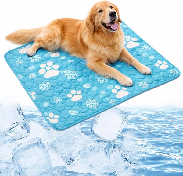 Premium kylmatta för hund – M/60*50cm – Tvättbar kylfilt – Självkylande kylmatta för husdjur utan gel för stora och små hundar och katter – Halkfri