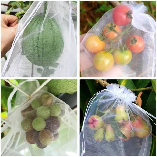 Pakke med 100 beskyttelsesposer til træer og planter, lavet af organza, vaskbare og genanvendelige, 20 x 30 cm
