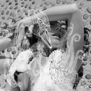 Björk - Vespertine (CD)
