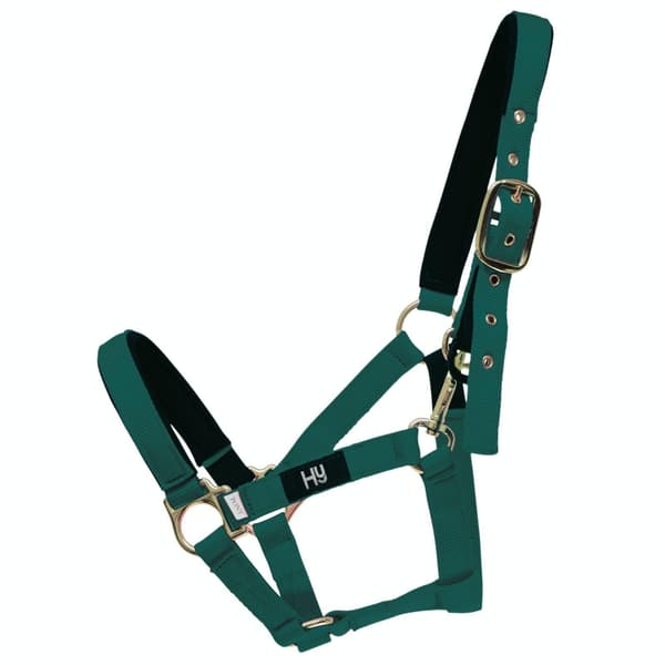 Hy Fieldsafe grimma
