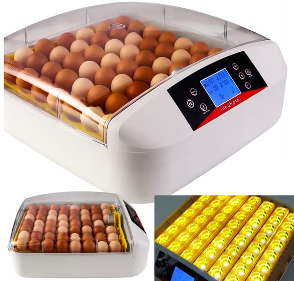 KLÄXMASKIN FÖR ÄGG, FJÄDERFÄGEL, FÅGEL, 56 ST, LED-TERMOSTAT
