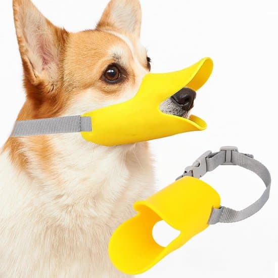 Vandtæt hundemundkurv - Anti-bid hundemundkurv med justerbar rem, velegnet til små, mellemstore og store hunde - Anti-gø mundkurv-M