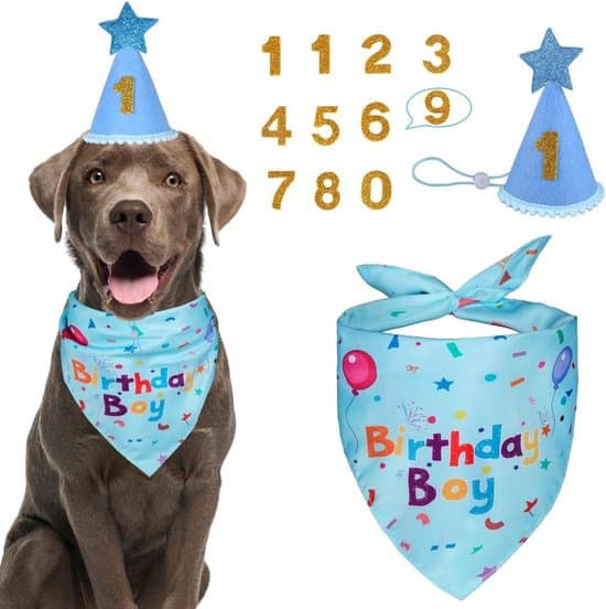 Hunde bandana - Hunde tørklæde - nummererede hatte til alle hunderacer - åndbar bomuld - 3-pak - blå - med numre 1-10