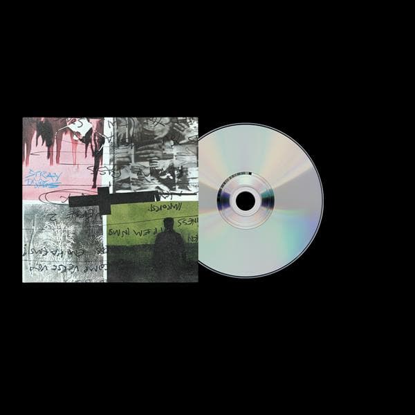 Nothing but Thieves: Stray Dogs (CD)