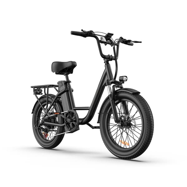 URLIFE E20 Elcykel - 48V 250W, avtagbart batteri, 80 km räckvidd, 3,0-tums däck, perfekt för stadskörning.