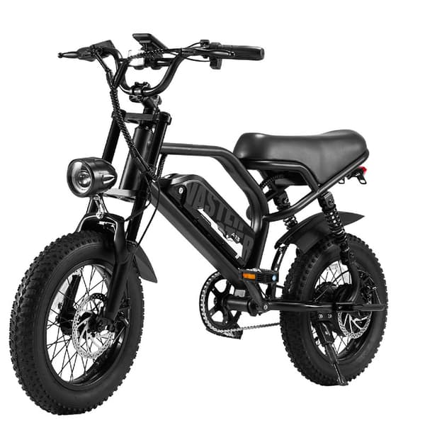 AVDL A13 elcykel, 16x3,0 tums däck, 36V12,8Ah batteri, skivbromsar fram och bak, LED-skärm-svart