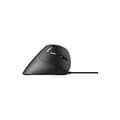 Miniatyrbild 4 av 4: Ergonomisk Mus - RAPOO - EV-200 - USB Type-A - 1600 DPI - 3 Programmerbara Knappar
