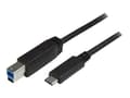 Miniatyrbild 1 av 6: StarTech USB C to USB B Printer Cable - 6 ft / 2m - USB C Printer Cable - USB C to USB B Cable - USB Type C to Type B (USB315CB2M) - USB-kabel - US...