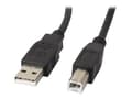 Pikkukuva 1 / 6: Lanberg - USB-kaapeli - USB (han) til USB Type B (han) - USB 2.0 - 1 m - lajiteltu