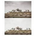 Miniatyrbillede 2 af 3: URTH Filter 77mm Soft Graduated ND8 Linsefilter (Plus+)