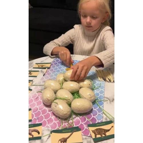 Dinosauriegrävset med ägg, hammare & borste, 12 dinosaurier