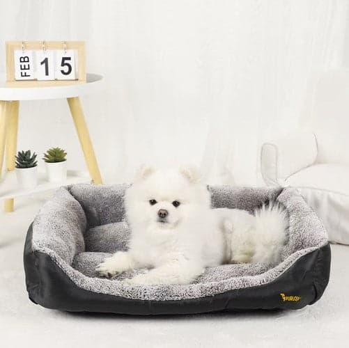 Hundeseng L 65x50x13 cm grå/sort maskinvask 30°C