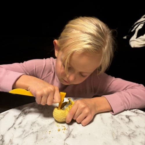 Dinosauriegrävset med ägg, hammare & borste, 12 dinosaurier