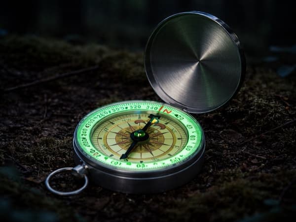 Fickkompass med fluorescerande urtavla 360° låsbart lock silver