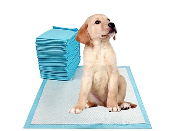 Hundeunderlag til hvalpetræning 60x60 cm 40-pak engangs absorberende
