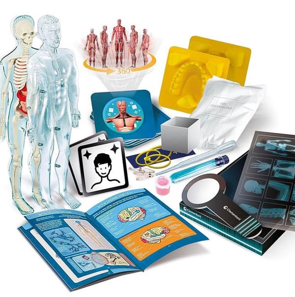 Anatomispil med skeletmodel og AR-app, 8+ år