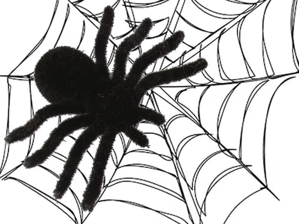 Halloween-edderkopper i plast 4-pack 7x11 cm, sorte