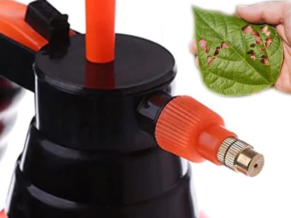 Tryckspruta 2 L för växter med justerbart munstycke och låsfunktion orange