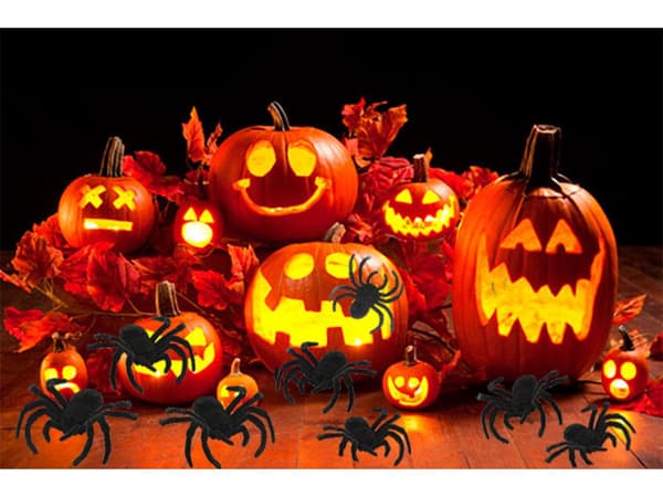 Halloween-edderkopper i plast 4-pack 7x11 cm, sorte