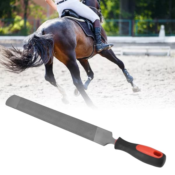 Hästskorasp Låglegerat Verktygsstål Solid Hovslagarefil Stallutrustning 49cm
