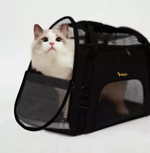Bärväska för hund/katt