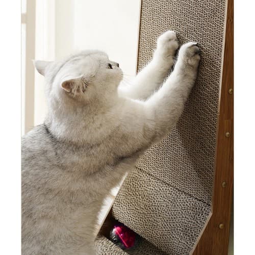 Klösbräda katt hörn med boll – 2-i-1 klösmöbel