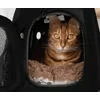 Bæretaske til hund og kat - sort