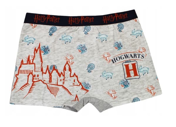 Harry Potter barnboxershorts 2 Pack