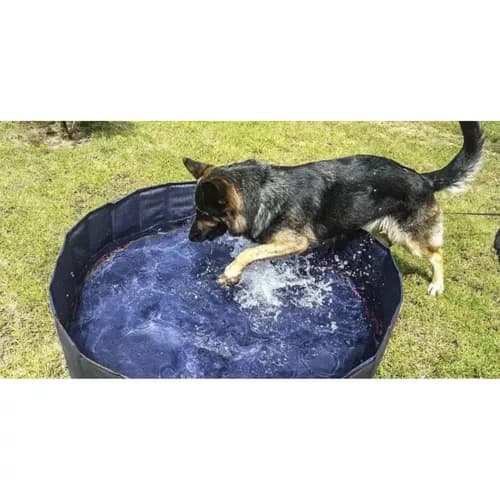 Sammenklappelig hundepool - indhegnet 120x30