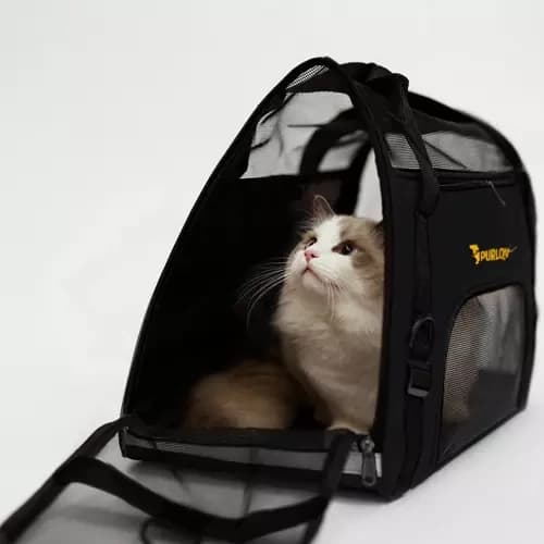 Bärväska för hund/katt