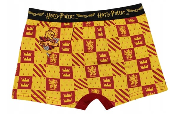 Alusvaatteet, 2 pakkausta - Harry Potter -bokserit lapsille