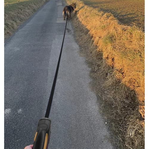 Automatiskt hundkoppel 5m/15kg