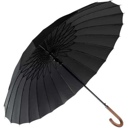 Regeringsparaply 24 trådar