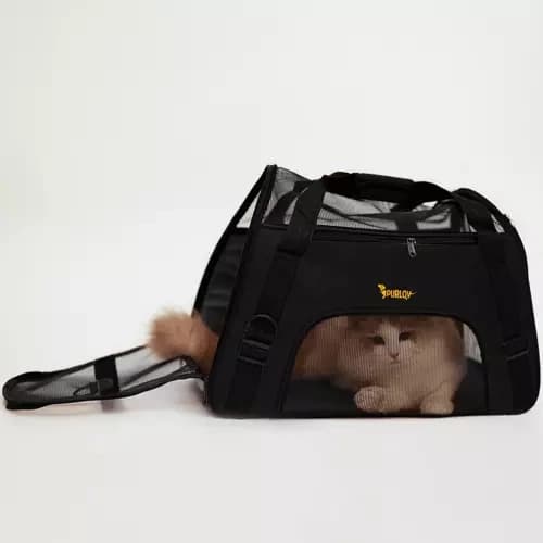 Bärväska för hund/katt