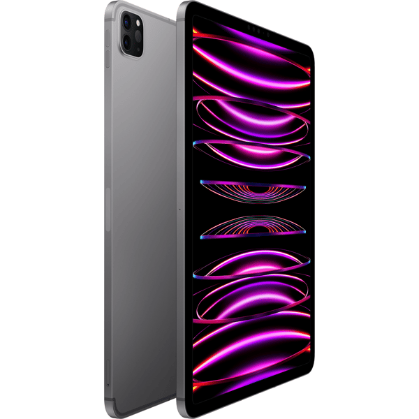 iPad Pro 11" 2022 256 GB WiFi + Cellular, rymdgrå - C - Av partner