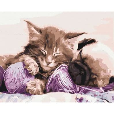Måla den! Måla efter nummer-kit katter och hundar 40x50cm - A - Som ny