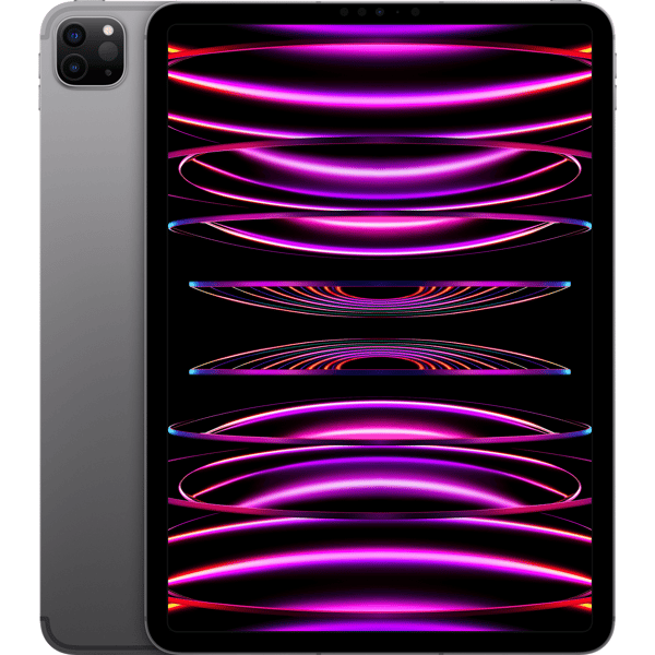 iPad Pro 11" 2022 256 GB WiFi + Cellular, rymdgrå - C - Av partner