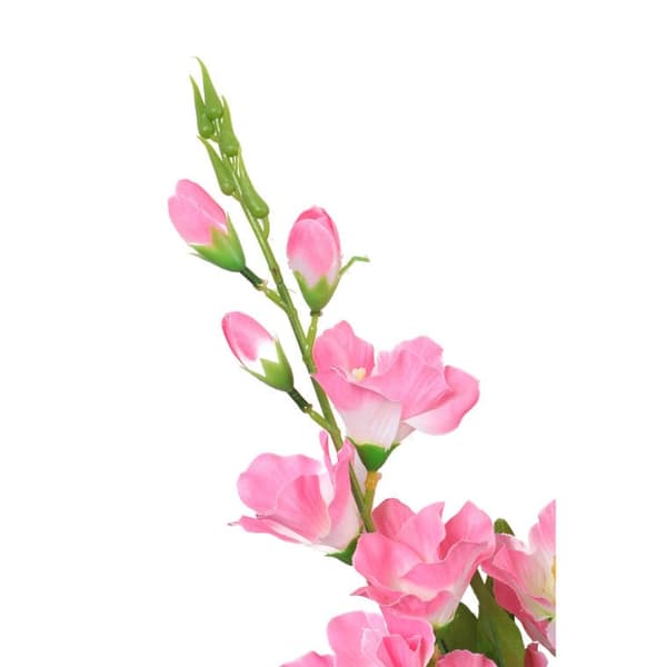 Bukett med 5 ljusrosa gladioler