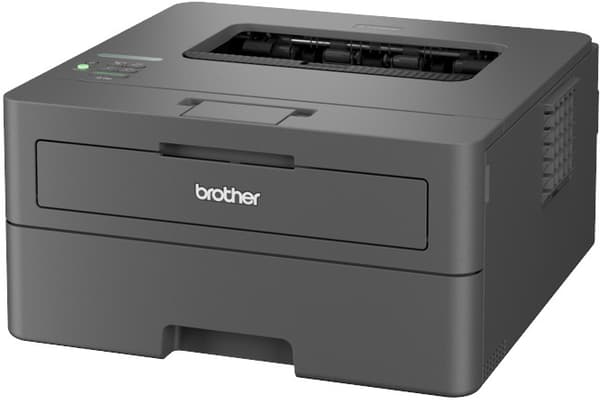 Brother HL-L2400DW sort printer (HLL2400DWRE1)